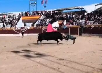El recortador David Ramírez «El Peque» sufre un percance en la capea de Villarejo de Salvanés cuando trataba de ejecutar un quiebro de rodillas