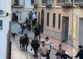 VÍDEO | Así ha sido el emocionante encierro con seis toros cerriles de Guadalmena en Museros