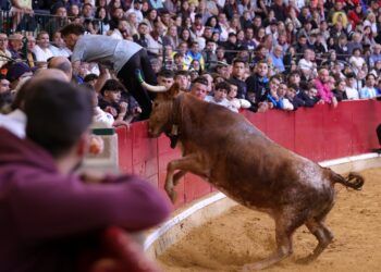 VÍDEO | Así ha sido la primera mañana vaquillera con reses de Eulogio Mateo en Zaragoza