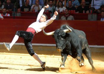 «El Peta», cuádruple campeón de España, se proclama campeón por quinta vez del Campeonato Goyesco de Recortadores en Zaragoza en un accidentado concurso