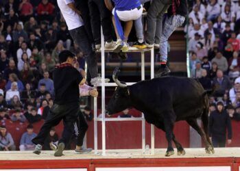VÍDEO | Así ha sido la segunda mañana vaquillera con reses de Hermanos Oliva Escudero en Zaragoza
