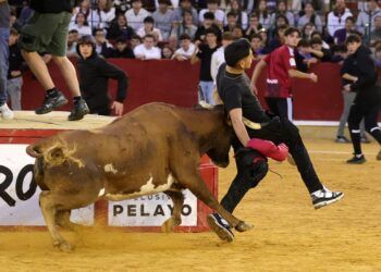 En vídeo, la tercera mañana vaquillera con reses de Iván López y Virgen de Sancho Abarca en Zaragoza