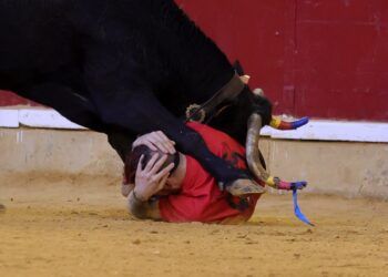 VÍDEO | Así ha sido la emocionante cuarta mañana vaquillera en Zaragoza con reses de Santos Zapatería