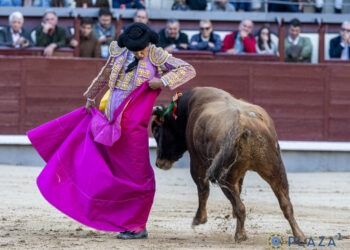En vídeo, el resumen de la gran final del certamen «Camino Hacia Las Ventas» y el triunfo de Israel Guirao