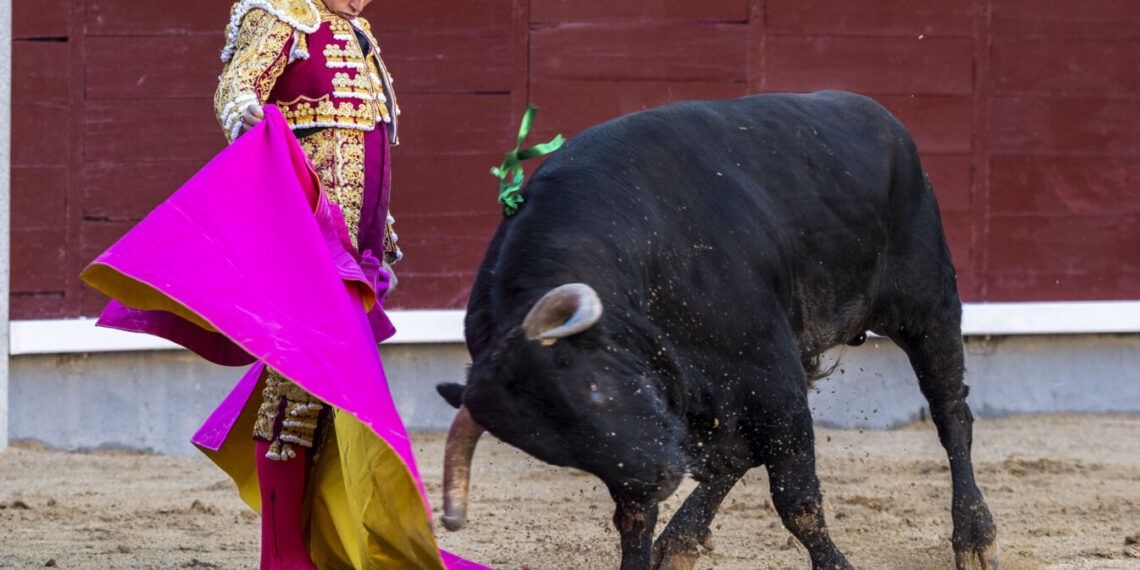 VÍDEO | En resumen, la encerrona de Álvaro Serrano en Las Ventas: grave cornada para el novillero