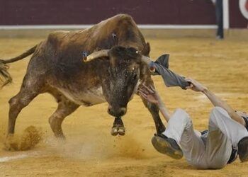 Aragón TV no emitirá en directo las vaquillas de El Pilar por falta de acuerdo con la empresa de la plaza de Zaragoza